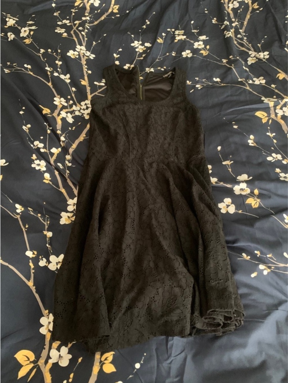 Express Black Lace Fit-and-Flare Dress